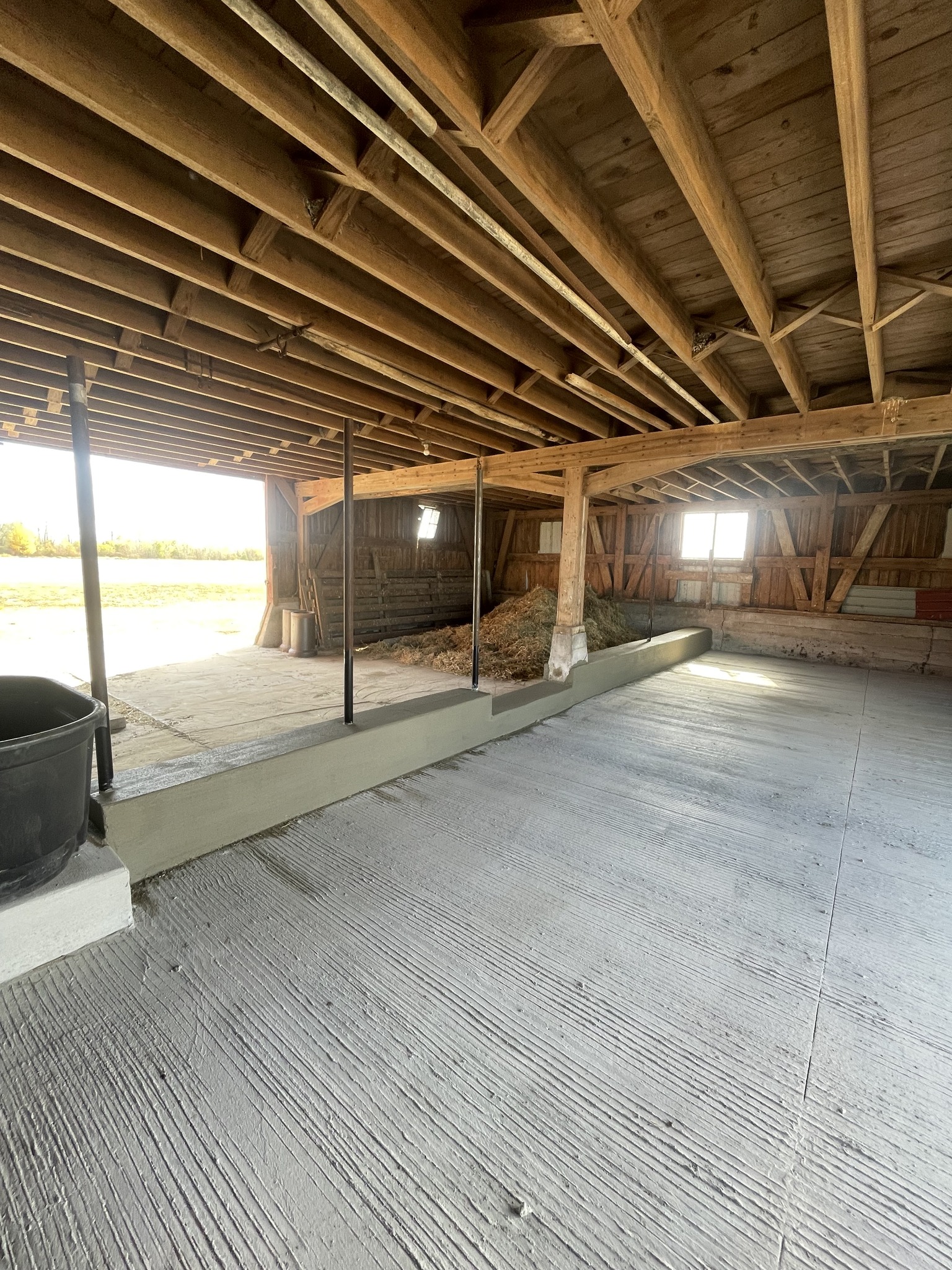 Engineered Concrete Solution for Livestock Barn Operations - Image 2